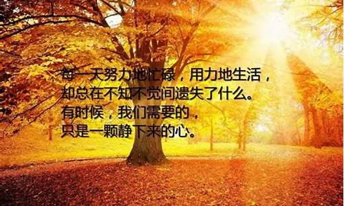 关于人生的文章_关于人生的文章初中初二