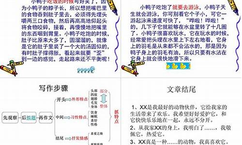 小动物作文500字_我的小动物作文500字