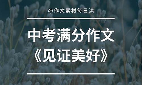 见证作文300字_见证作文300字高中