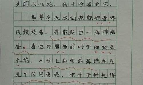 植物观察作文300字