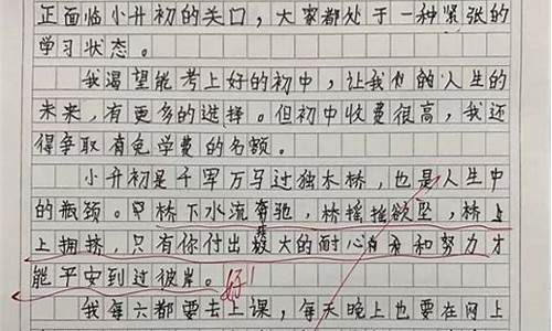 期盼开学作文500字_期盼开学作文500字怎么写